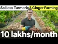 Soilless Turmeric and Ginger Farming 45 Tons Per Acre 2 Crore Profit Story Agritalk