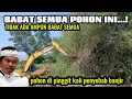 Download Lagu UPDATE TERBARU ‼️ NORMALISASI KALI CIBARENGKOK BABAT SEMUA POHON DI PINGGIR KALI