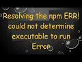 Resolving the npm ERR could not determine executable to run Error