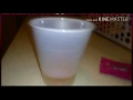 Dollar Tree Pregnancy Test