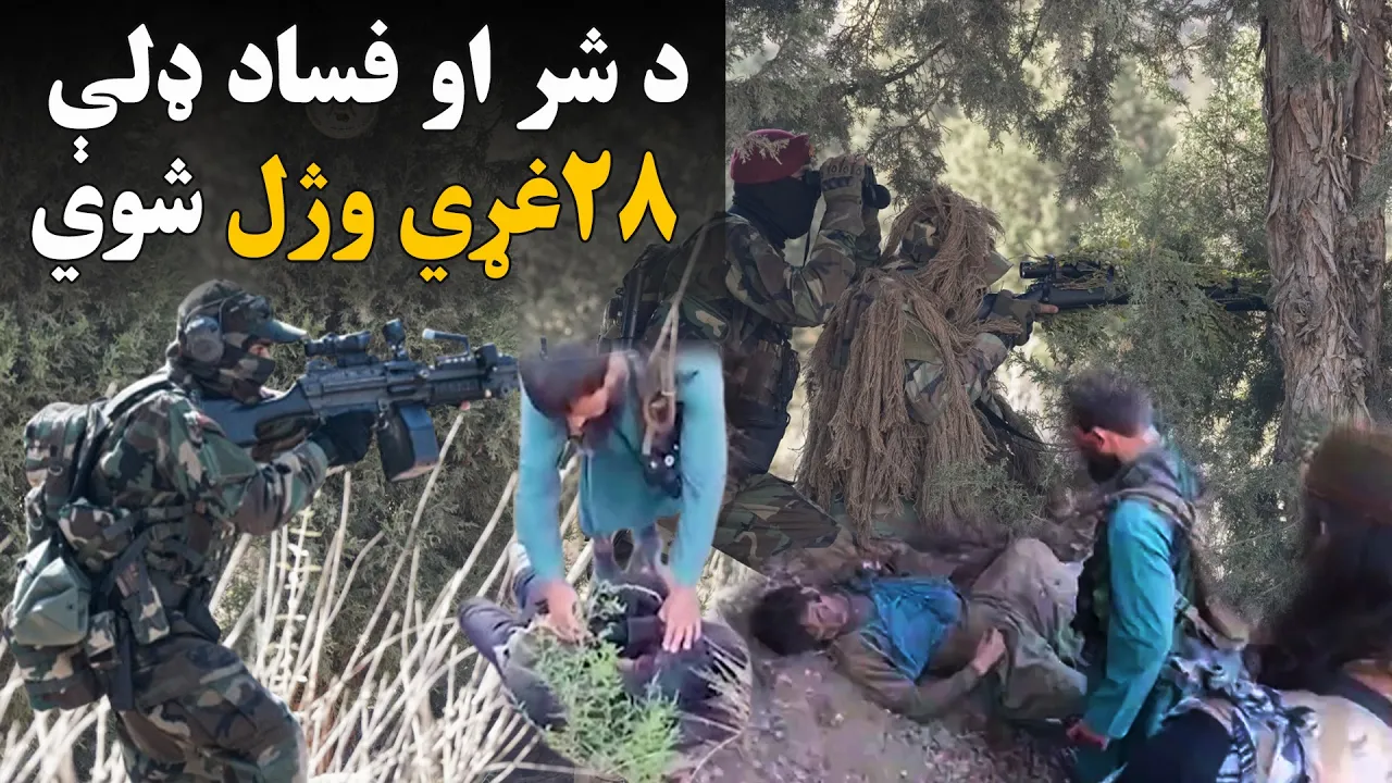نورستان کې د شر او فساد عناصرو په ګډون د داعش ډلې ۲۸ غړي وژل شوي: video thumbnail