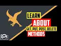 Python Falcon Part 3 - learn about get put post and delete methodes