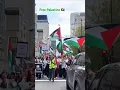 Download Lagu Free Palestine |all protest is for free Palestine