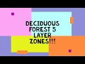 Deciduous Forest Project