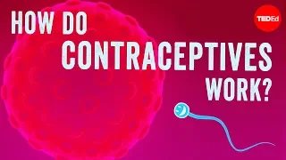 how do contraceptives work nwhunter