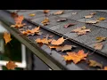 BroGuard Real Protection for Your Gutters