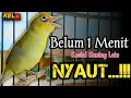 Download Lagu CIAK CIAK JOSS KECIAL KUNING AMPUH||PANCINGAN KECIAL MALAS BUNYI||
