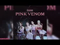 BLACKPINK - Pink Venom (Official Instrumental/95%)
