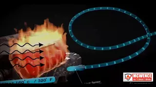                     دندنها