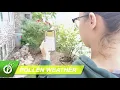 Seasonal Allergy Forecast Pollen and Mold Counts The PollenWise App Features August 20 2020