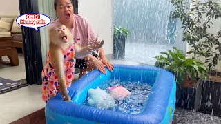What is going on? LYLY hurriedly welcomed the rain, but what happened was beyond her expectations.