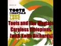Toots and The Maytals Careless Ethiopians feat Keith Richard