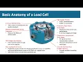 Basic Anatomy of a Load Cell