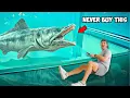 Download Lagu Buying the Scariest Sea Monster I've Ever Owned Off The Web...