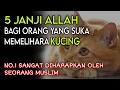 Download Lagu 5 JANJI ALLAH BAGI ORANG YANG SUKA MEMELIHARA KUCING