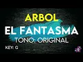 Árbol - El Fantasma - Karaoke Instrumental