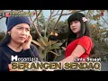 Cinta sesaat (Berangen Sendaq) bersama Trio semongko manaaap boskuh