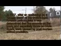 West Memphis Three pipe bridge animal tracks at crime scene