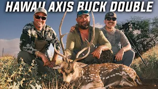 Hunting GIANT Hawaii Axis Bucks!