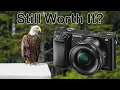 Should You Buy A Sony A6000 Today