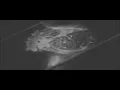 Download Lagu Valerinne - Terra Amata Official Video
