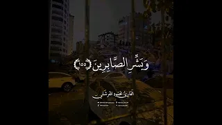 ولنبلونكم بشيء من الخوف والجوع      محمود القرشلي دندنها
