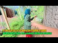 Download Lagu Kepada Siapa Lagi Si Emak Minta Bantuan..Hanya Pasrah Dan Berharap Ada Keajaiban.