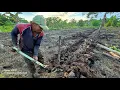 Download Lagu PAK JUARI BUAT PARET CACING, UNTUK KONTROL KELEMBABAN TANAH LAHAN RAWA TRANSMIGRASI KALIMANTAN