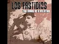 Ska Medley (You're Wondering Now / We're Coming Back) - Los Fastidios