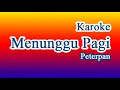Download Lagu Menuggu Pagi - Peterpan