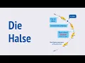 Download Lagu Die Halse - SvSE Trainingsvideo