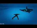 Mungo VOD - April 2 2025
