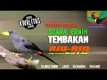 Masteran Burung....SUARA BURUNG JALAK RIO RIO dan RELAXASI AIR DIJAMIN nyaman buat jagoan OMKU SEMUA