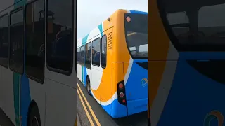           دندنها
