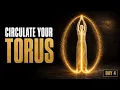 Circulate the Torus in Your Own Field