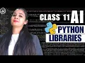 Python LIBRARIES Python Class 11 AI - 843 Unit 3 Python Programming