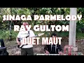SINAGA PARMELODY \u0026 RAY GULTOM