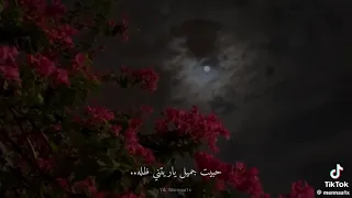 من كتر شوقي عليك ما بنام الليل دندنها