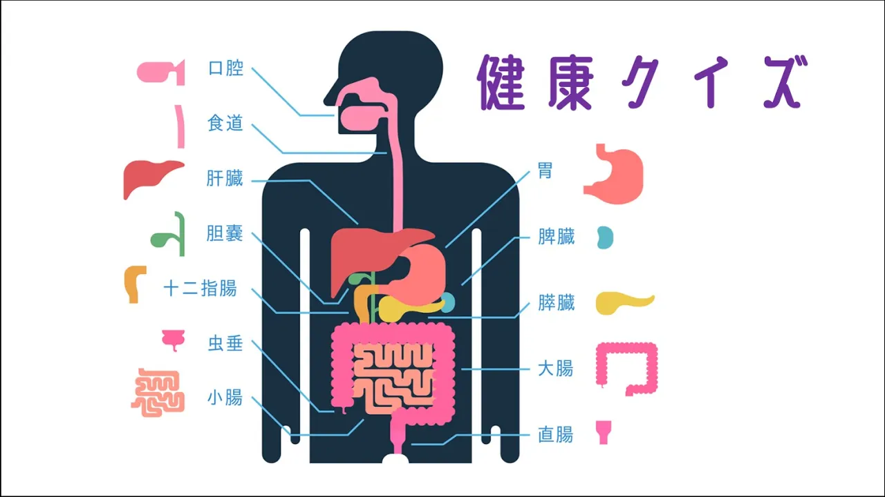 【高齢者向け】知識が増える！楽しい雑学クイズ