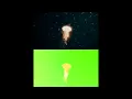 Visualizing Optical Flow using RAFT - Moving jellyfish