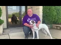 Gaul Gives Donation Dubuque Regional Humane Society