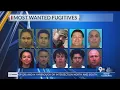 Most Wanted Fugitives Week of Feb 16 2024