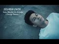 Lagu Seluruh Cinta - Cakra Khan feat Siti Nurhaliza ( Cover By Pahvinvio )