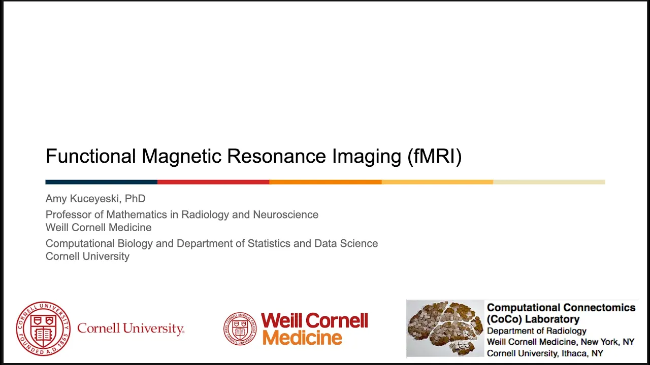 Functional Magnetic Resonance Imaging (fMRI)