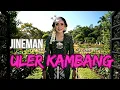 Download Lagu JINEMAN ULER KAMBANG MAT MATAN SINAMBI LEYEH - LEYEH