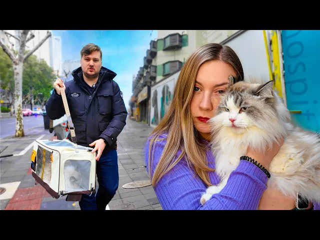 Chinese New Year Emergency Finding a Vet in CHINA 🇨🇳