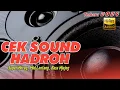 Lagu CEK SOUND HADROH SUPER HOREG, MID LANTANG, BASS NJEJEG Kalian Wajib Coba‼️