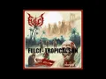 Fulci - Tropical Sun | Bass Cover