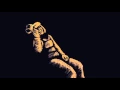 Jacqueline Wojcik - Rotoscope vs Reference