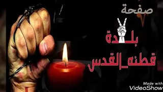 شالت شالت شالت وحطت في قطن ه دندنها